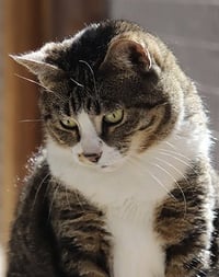 Bette - Photo 4