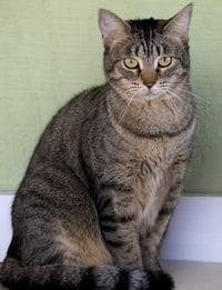 Katie - Photo 1