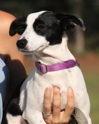 Shelly - Photo 3