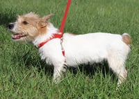 Coffee - Photo 2