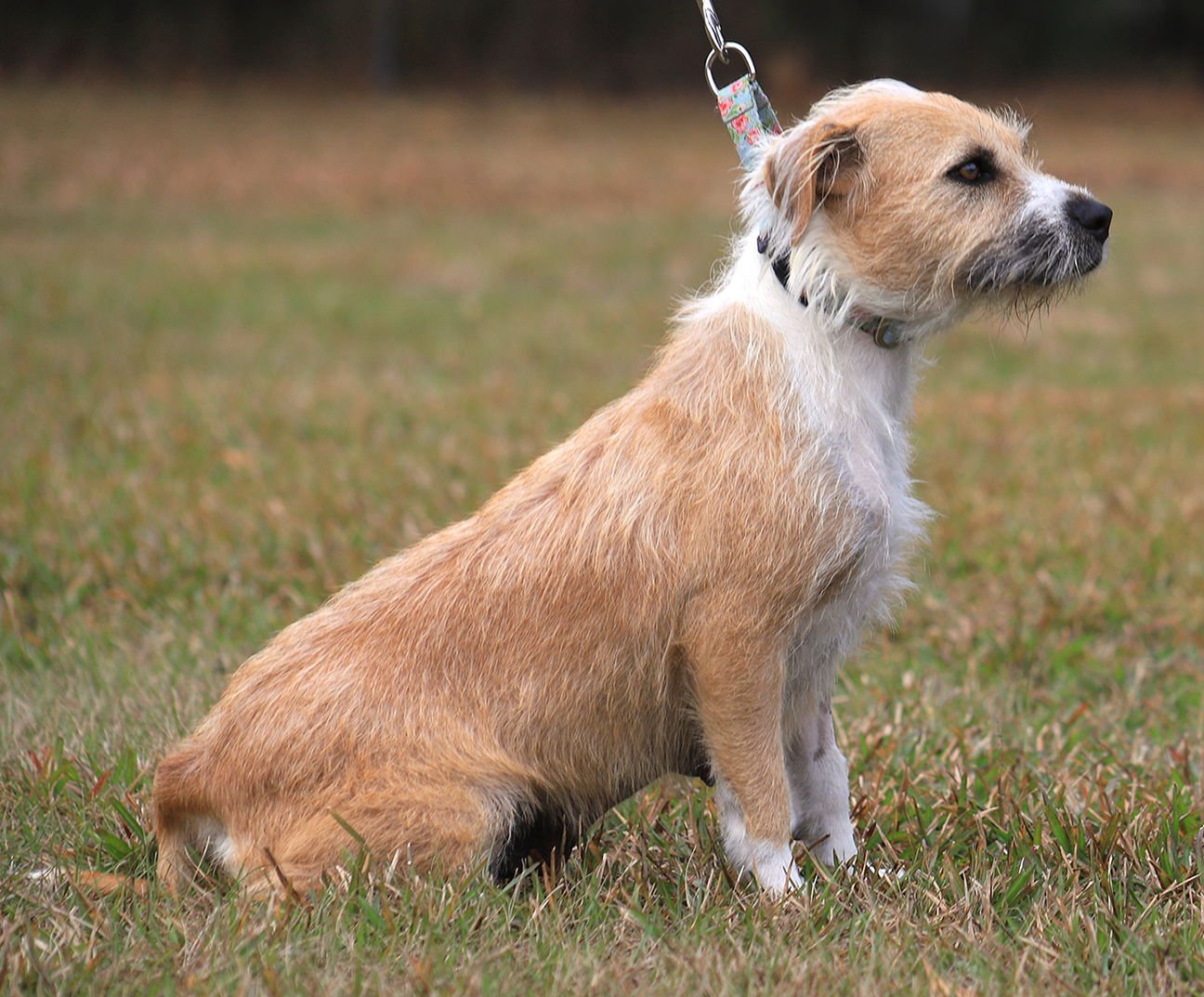 Tootsie Roll - Photo 3