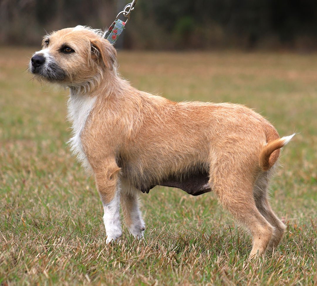 Tootsie Roll - Photo 4