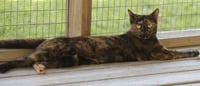Marsha - Photo 4