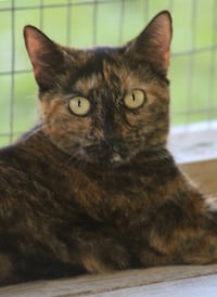 Marsha - Photo 3