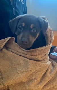 UNKNOWN - Photo 1