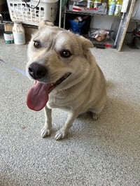BUDDY - Photo 1