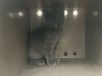 SEBASTIAN 1 - Photo 1