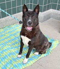 JUNIE - Photo 1