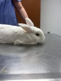 UNKNOWN - Photo 1