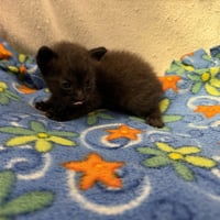 UNKNOWN - Photo 1