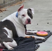 MOLLY - Photo 1