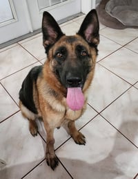 MILA - Photo 2