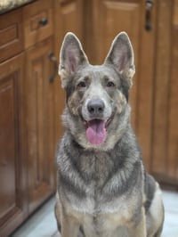 COCOA - Photo 2