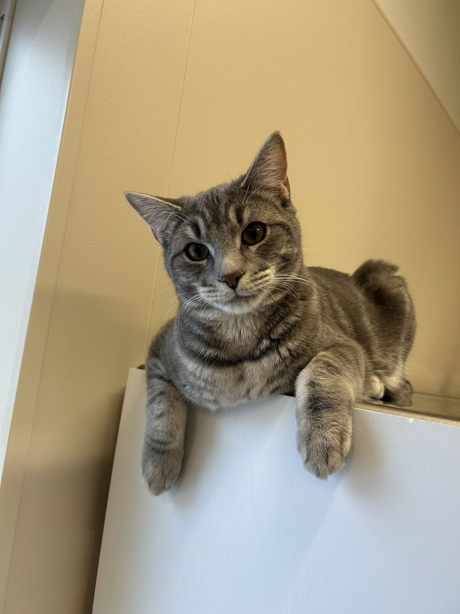 Johnny & June - Photo 3