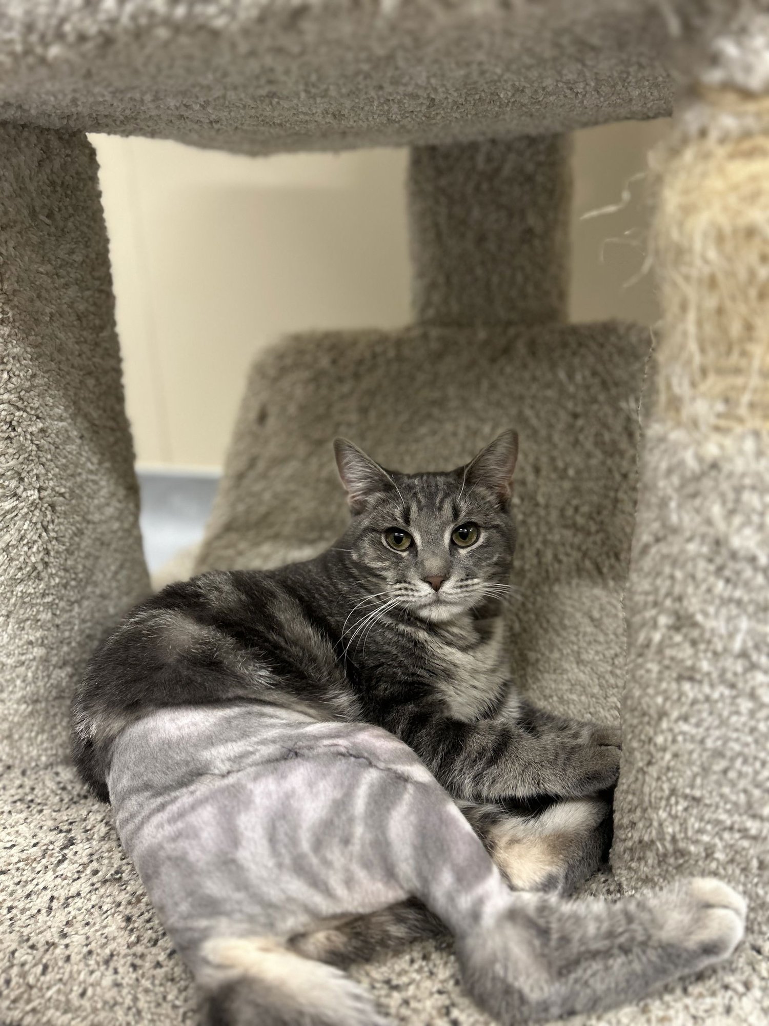 Johnny & June - Photo 4