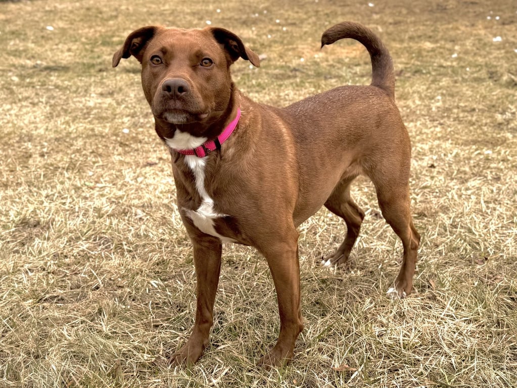 Mattie Image
