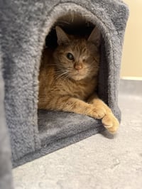 Mimi & Herman - Photo 2