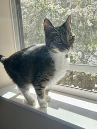 Charlotte - Photo 3
