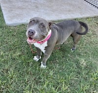 BELLA - Photo 1