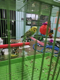 A080984 - Photo 1