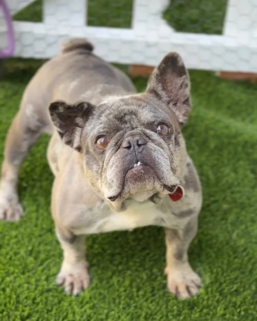 ELECTRA CA - JUST ARRIVED!!