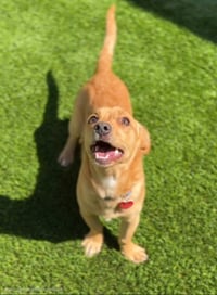 Marius CA - JUST ARRIVED! - Photo 1