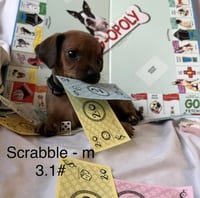 Scrabble - Photo 10