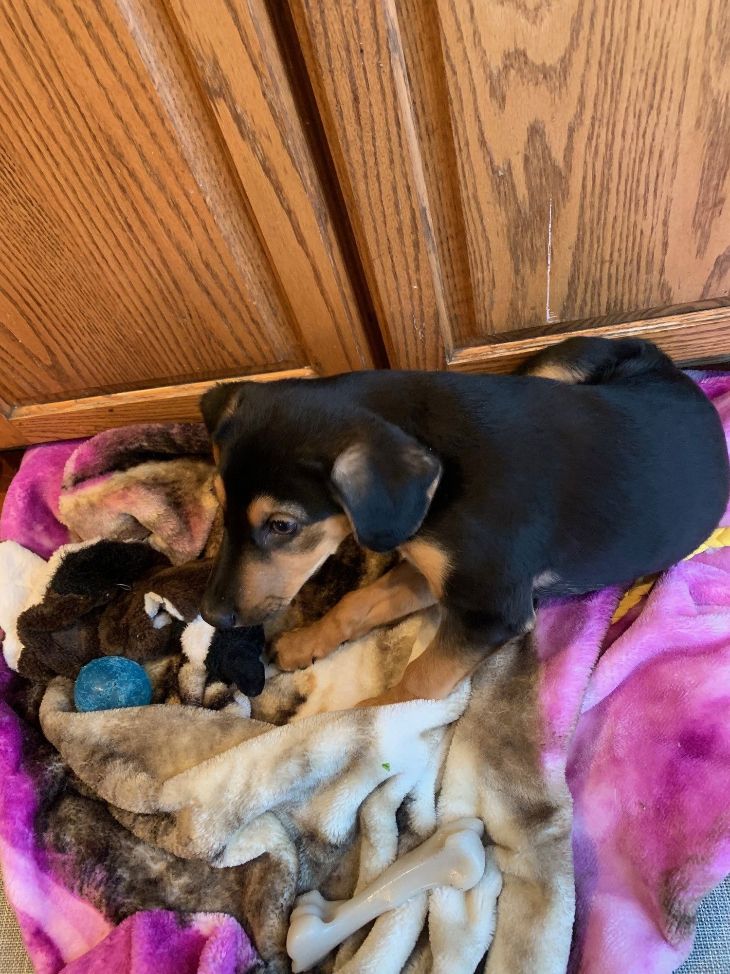 Richard Gilmore - Photo 3