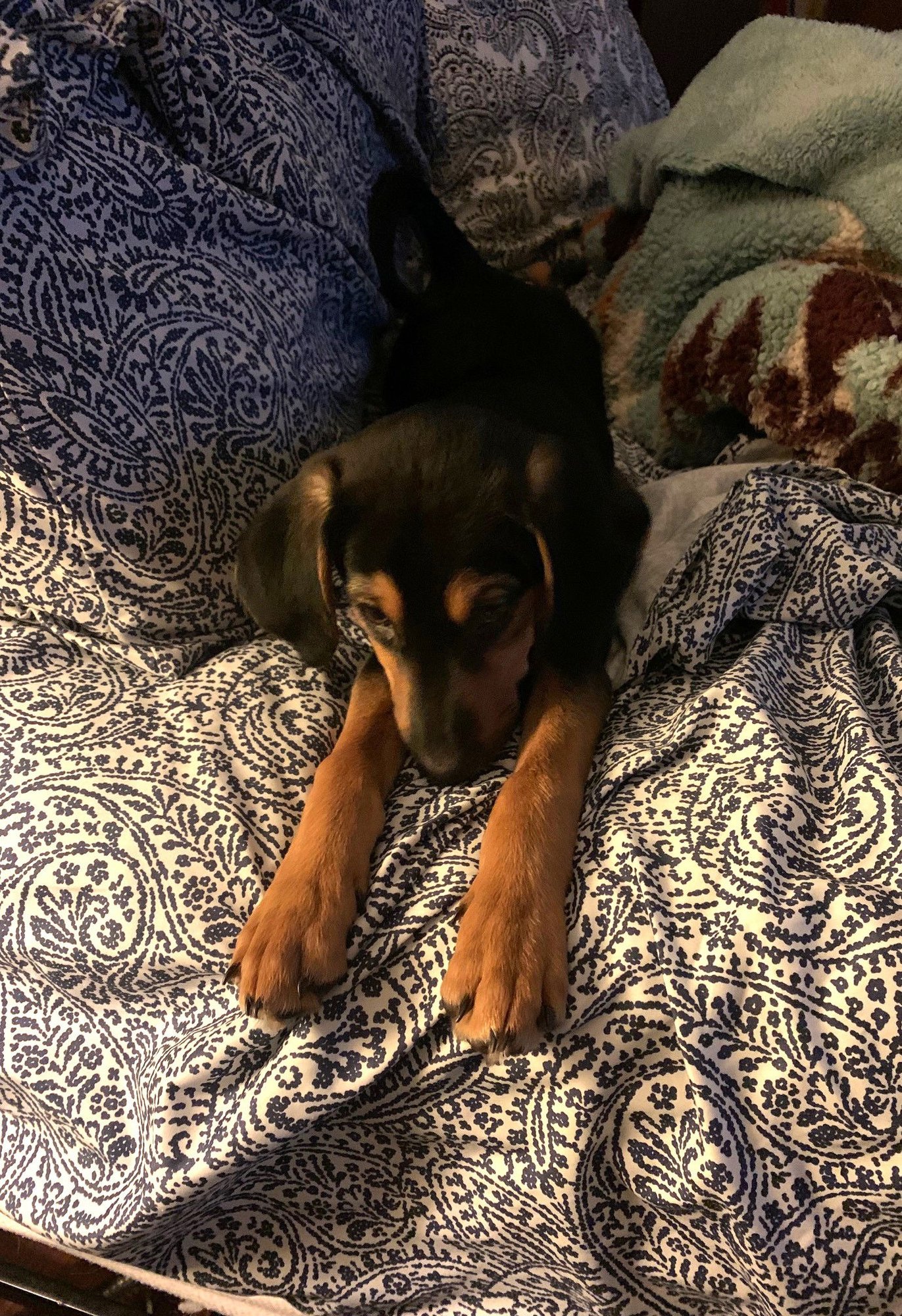 Richard Gilmore - Photo 4