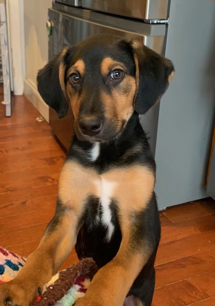 Richard Gilmore - Photo 5