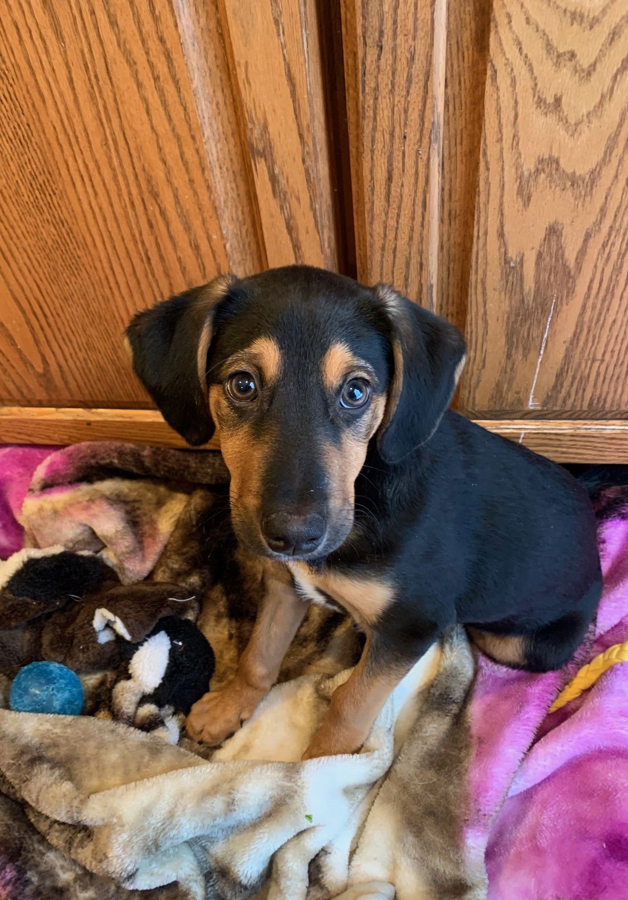 Richard Gilmore - Photo 6