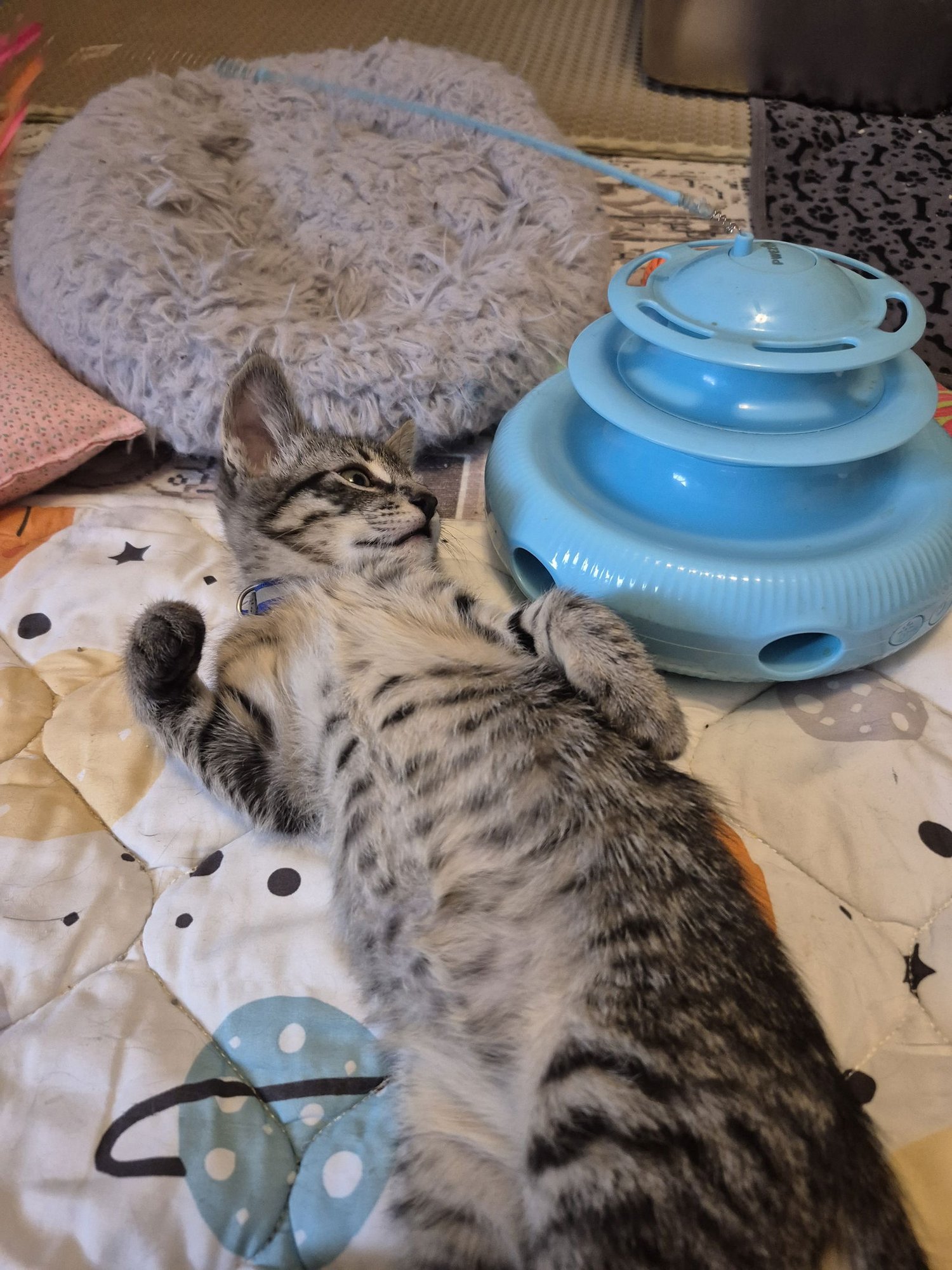 Walter Payton - Photo 3