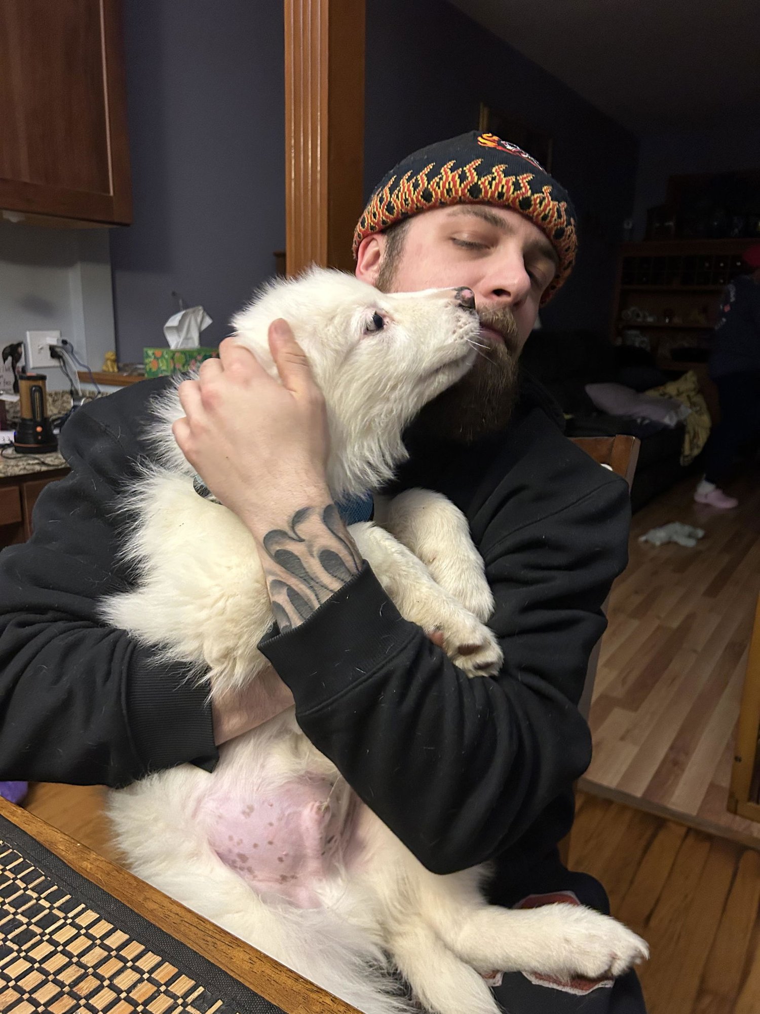 ELLIOTT - Great Pyrenees available for adoption