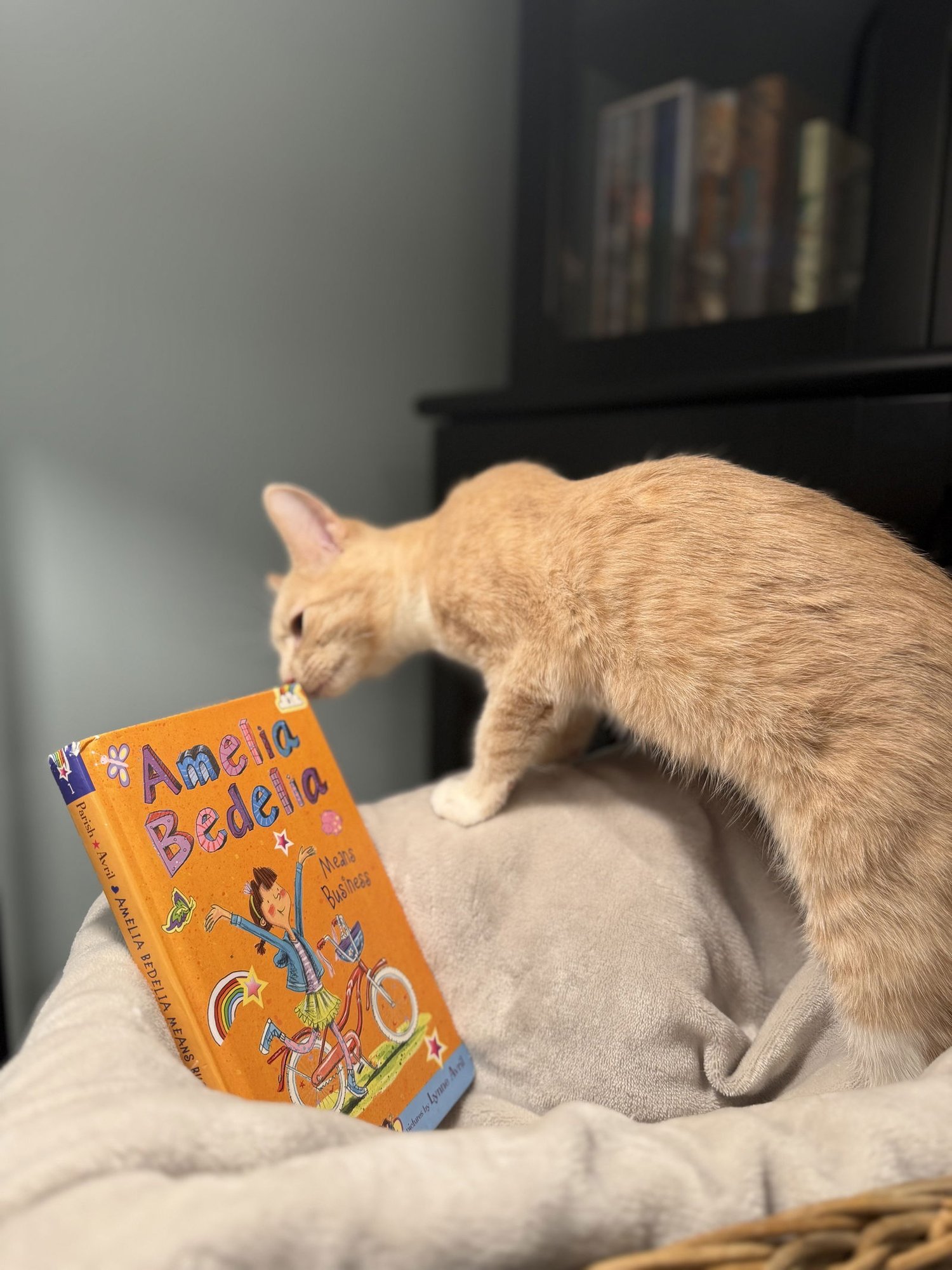 Amelia Bedelia - Photo 3