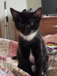 Trixie - Photo 4