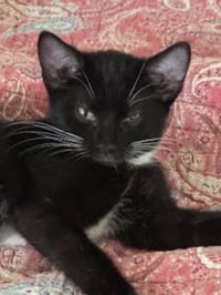 Trixie - Photo 1