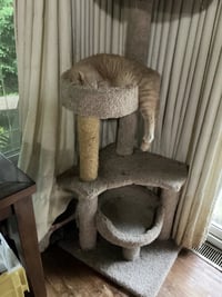 Peanut - Photo 3