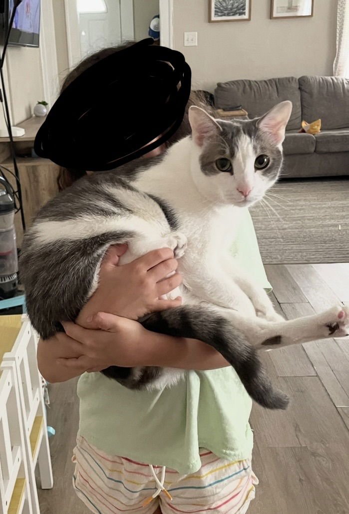 Bunzo & Daisy (bonded brothers) - Photo 5