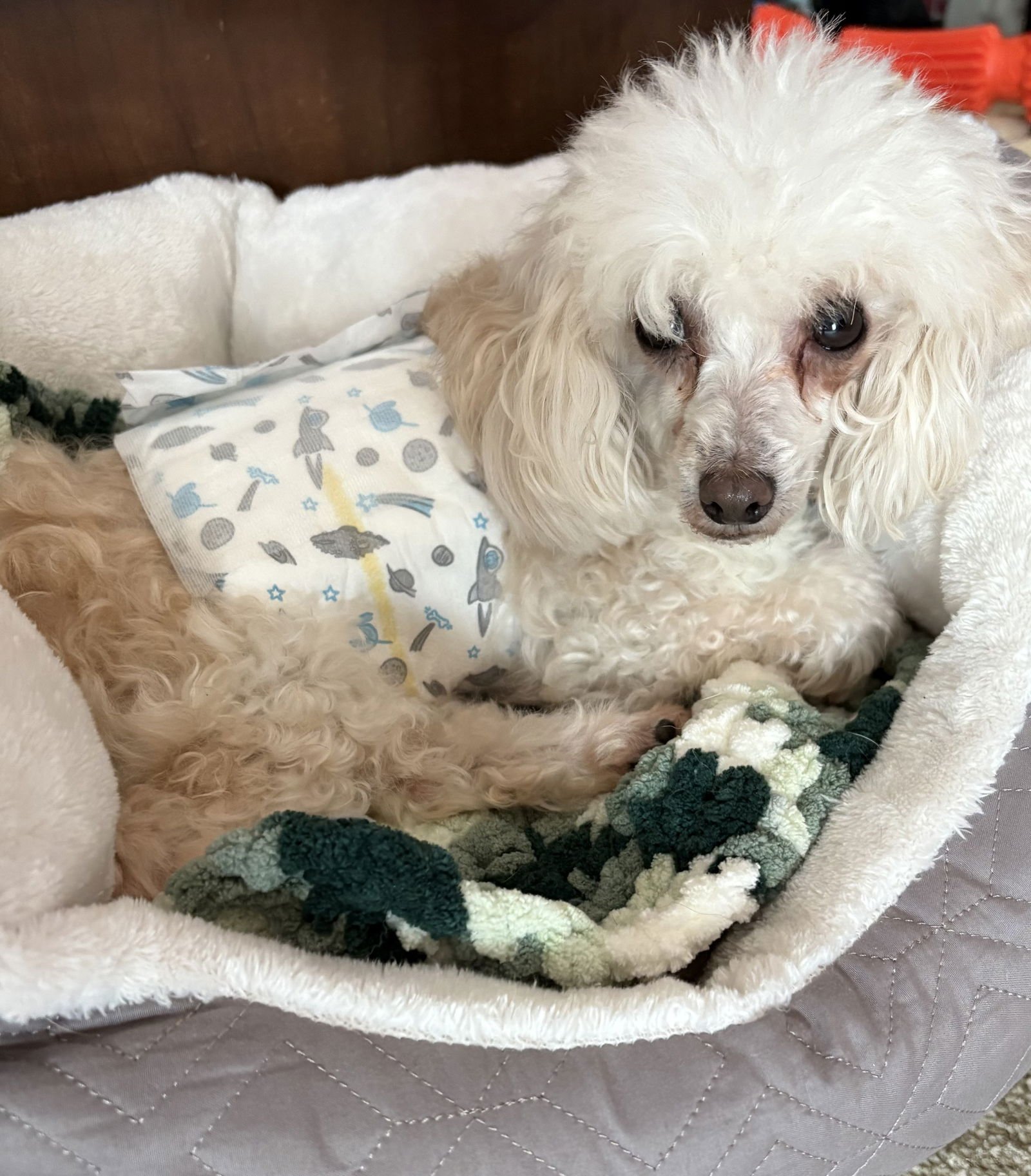 Jimmy John - Photo 3