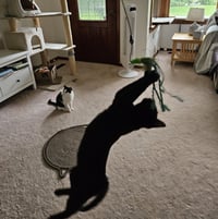 Wednesday - Photo 2