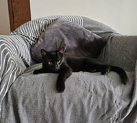 Wednesday - Photo 3