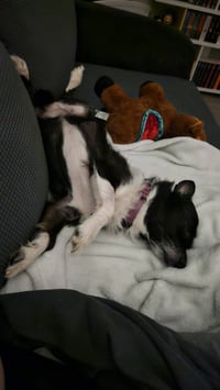 Lucy - Photo 3