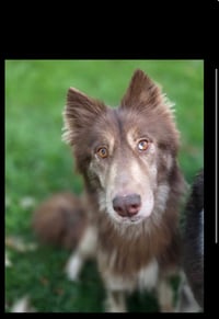 Atris - Photo 1