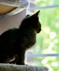 Fran - Photo 4
