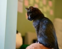 Fran - Photo 5