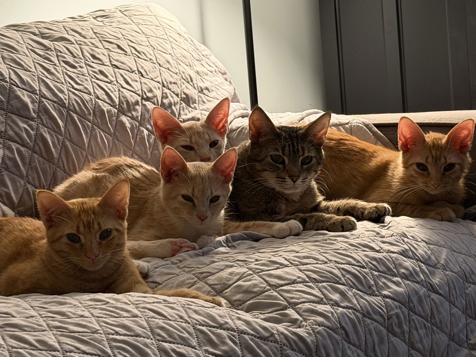 Ms. Frizzle - Photo 5