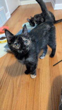 Barb - Photo 3