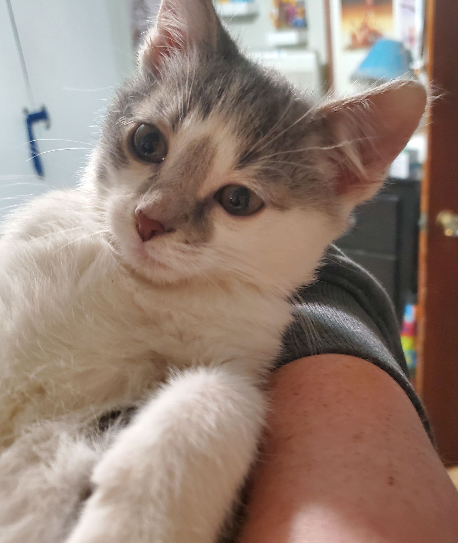 Crunchwrap Supreme - Photo 3