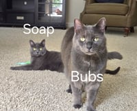 Bubbles - Photo 3