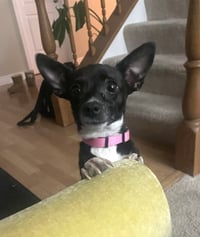 Princess Merida - Photo 1